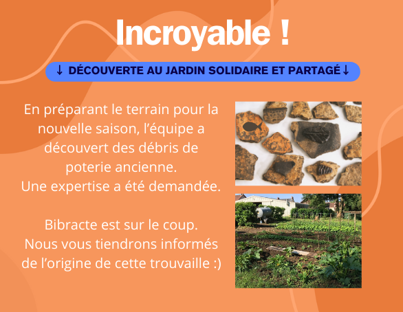 Lire la suite à propos de l’article Une incroyable découverte au Jardin Solidaire et partagé !